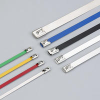 Epoxy coated ball-lock stainless steel cable tie