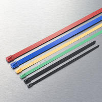 Plastic coated stainless steel cable tie