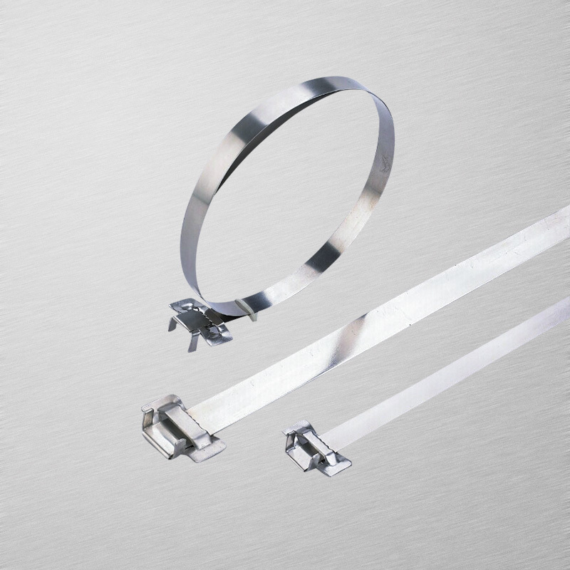 Toothed buckle stainless steel cable tie